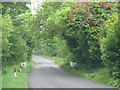 Minor road crosses small stream