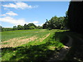 Footpath to Stone Street Road