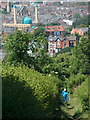 Path between allotments with Wolseley Road Mosque in background