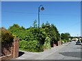 Lamppost in Stakes Road