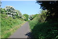 Old railway line: northwards from Robin Hood