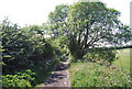 The old railway line near Stainsacre