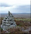 ND1136 : Cairn, Cnocan Conachreag by Claire Pegrum