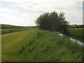 Bridleway beside the Reading Sewer