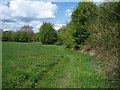 SP2321 : Footpath to Bledington [2] by Michael Dibb