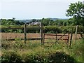 Fferm Gwynfryn Farm