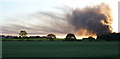 Field between Bawtry and Bircotes