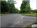 Row of trees at the top of Wrotham Hill