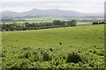 Looking towards Bennachie