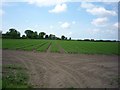 Farmland near Deighton