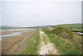 TV5198 : Footpath by the River Cuckmere by N Chadwick