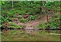 Fishing platform at pond near Uncllys Farm, Wyre Forest