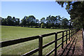 Paddocks at Beech House Stud