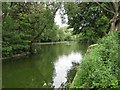 Lake in Ward End Park