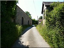 SS4839 : Approaching Upcott on the Nethercott Road by Roger A Smith
