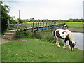 Arlesey: Footbridge over the River Hiz