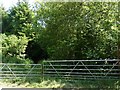 A footpath which leads from Nethercott Road to Knowle