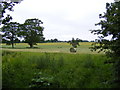 Silage Baling