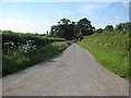 Road to the A449 near Newland