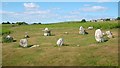 SD2973 : Stone Circle on Birkrigg Common by Stephen Middlemiss