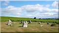 SD2973 : Stone Circle on Birkrigg Common by Stephen Middlemiss