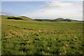 Rough grazing in the Western Cheviots