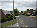 Colehill, bungalows