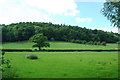 Looking towards Coed Berth-ddu