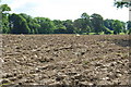 Ploughing unearths the stones