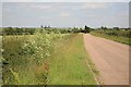 Country road looking towards the old Great North Road