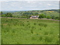 Pastures near Cleugh Head