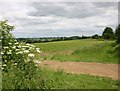 Field near Granby Farm