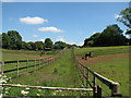 Sproxton: paddocks where ironstone was once quarried