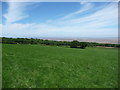 View from a footpath above the Dee estuary