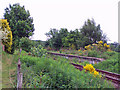 Conon Bridge station (former)