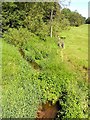 Sambrook Beck