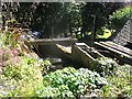 The mill race at Sambrook Mill