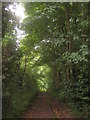 Footpath towards Waltham Road