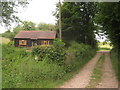 Track to Yawlings Wood Farm