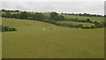 Horse Paddocks near Nightingale Farm