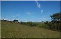 Meadow near Pilsbury Castle Hills