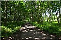 Farm road to Uncllys Farm