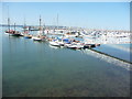 Brixham : Brixham Marina