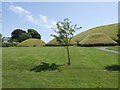 N9973 : Satellite passage tombs at Knowth by John M