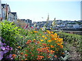 Brixham : Flowerbed