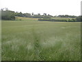 Footpath towards to Whiteacre Farm