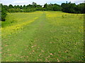 Sirhowy Valley Walk at Allt-yr-yn