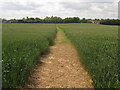 Footpath to Stone Street