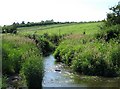 Bow Brook by Walcot Ford