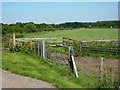 Fields towards the B6387